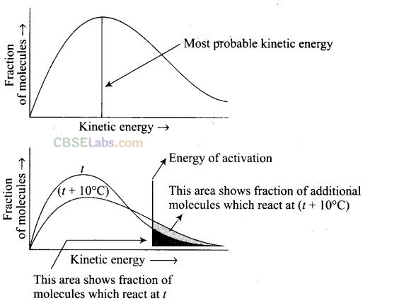 NCERT Exemplar Class 12 Chemistry Chapter 4 Chemical Kinetics Img 46