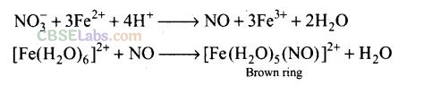 NCERT Exemplar Class 12 Chemistry Chapter 7 The p-Block Elements Img 11