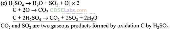NCERT Exemplar Class 12 Chemistry Chapter 7 The p-Block Elements Img 16