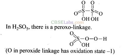 NCERT Exemplar Class 12 Chemistry Chapter 7 The p-Block Elements Img 24