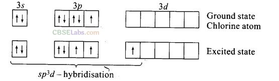 NCERT Exemplar Class 12 Chemistry Chapter 7 The p-Block Elements Img 31