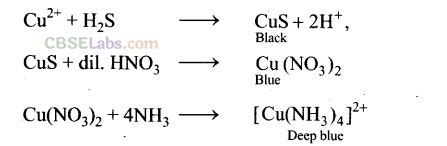 NCERT Exemplar Class 12 Chemistry Chapter 7 The p-Block Elements Img 4