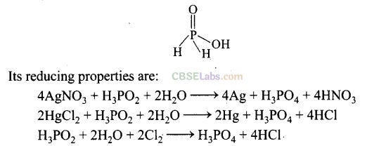 NCERT Exemplar Class 12 Chemistry Chapter 7 The p-Block Elements Img 43