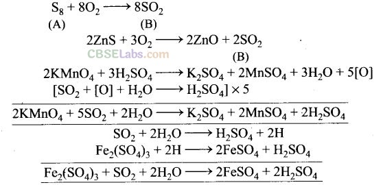 NCERT Exemplar Class 12 Chemistry Chapter 7 The p-Block Elements Img 56