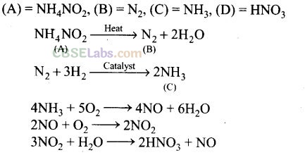 NCERT Exemplar Class 12 Chemistry Chapter 7 The p-Block Elements Img 58