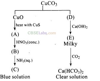 NCERT Exemplar Class 12 Chemistry Chapter 8 The d- and f-Block Elements Img 31