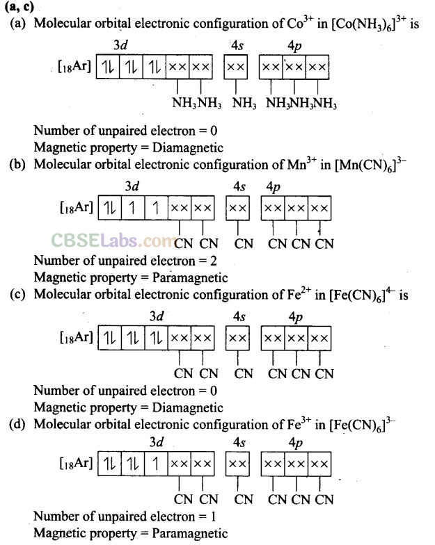 NCERT Exemplar Class 12 Chemistry Chapter 9 Coordination Compounds Img 12