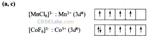 NCERT Exemplar Class 12 Chemistry Chapter 9 Coordination Compounds Img 13