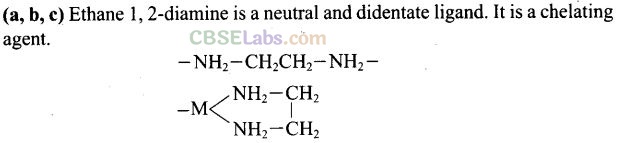 NCERT Exemplar Class 12 Chemistry Chapter 9 Coordination Compounds Img 19