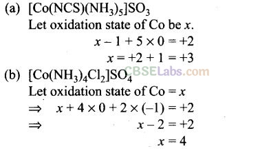 NCERT Exemplar Class 12 Chemistry Chapter 9 Coordination Compounds Img 35
