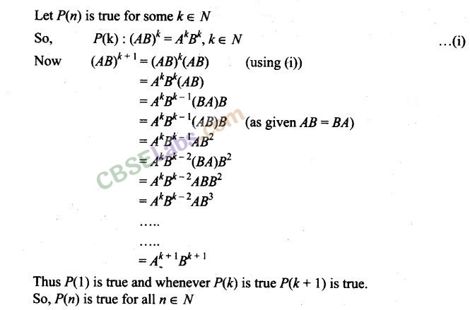 NCERT Exemplar Class 12 Maths Chapter 3 Matrices Img 53