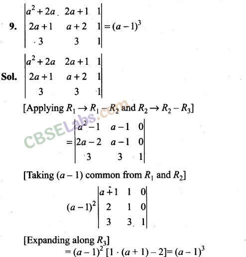 NCERT Exemplar Class 12 Maths Chapter 4 Determinants Img 10