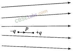 NCERT Exemplar Class 12 Physics Chapter 1 Electric Charges and Fields Img 10