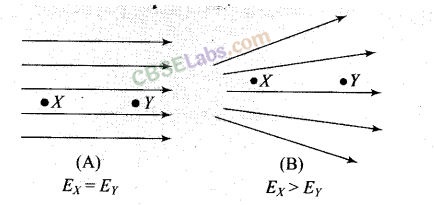 NCERT Exemplar Class 12 Physics Chapter 1 Electric Charges and Fields Img 11