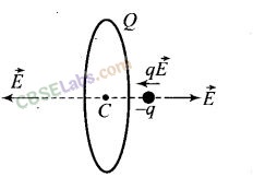 NCERT Exemplar Class 12 Physics Chapter 1 Electric Charges and Fields Img 18
