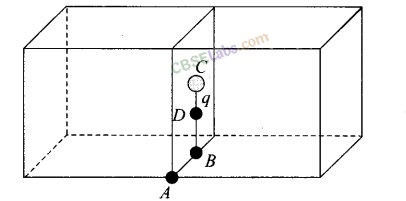 NCERT Exemplar Class 12 Physics Chapter 1 Electric Charges and Fields Img 27