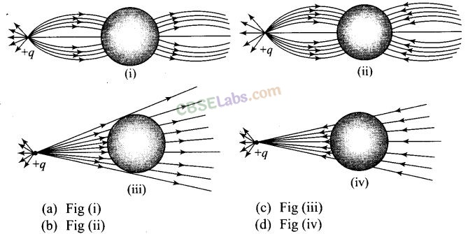 NCERT Exemplar Class 12 Physics Chapter 1 Electric Charges and Fields Img 4