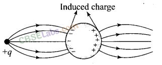 NCERT Exemplar Class 12 Physics Chapter 1 Electric Charges and Fields Img 5