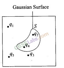 NCERT Exemplar Class 12 Physics Chapter 1 Electric Charges and Fields Img 9