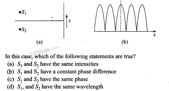 NCERT Exemplar Class 12 Physics Chapter 10 Wave Optics Img 11