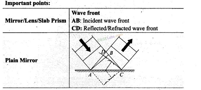 NCERT Exemplar Class 12 Physics Chapter 10 Wave Optics Img 17