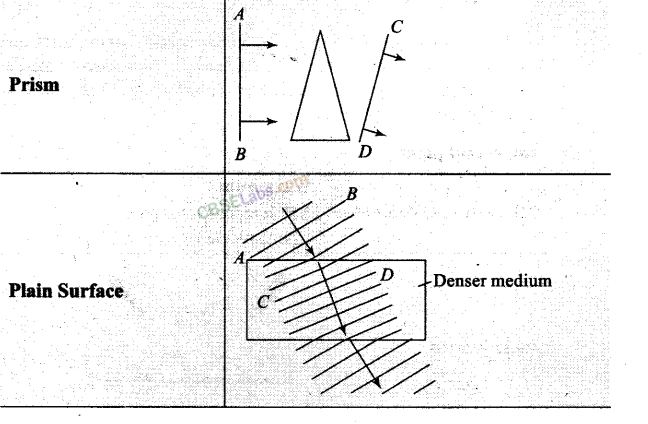 NCERT Exemplar Class 12 Physics Chapter 10 Wave Optics Img 18