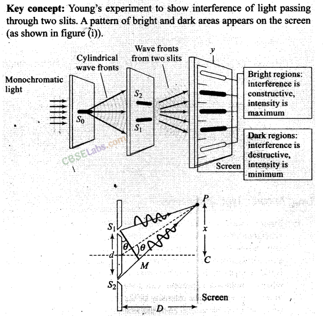NCERT Exemplar Class 12 Physics Chapter 10 Wave Optics Img 26