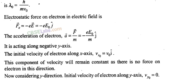 NCERT Exemplar Class 12 Physics Chapter 11 Dual Nature of Radiation and Matter Img 12