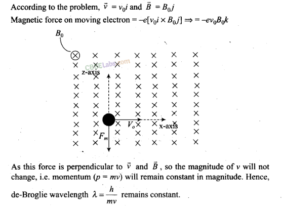NCERT Exemplar Class 12 Physics Chapter 11 Dual Nature of Radiation and Matter Img 8