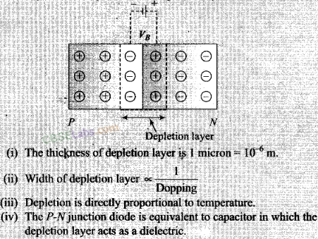 NCERT Exemplar Class 12 Physics Chapter 14 Semiconductor Electronics Materials, Devices and Simple Circuits Img 5