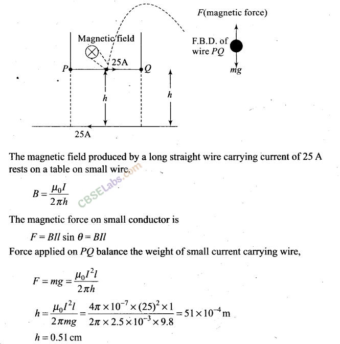 NCERT Exemplar Class 12 Physics Chapter 4 Moving Charges and Magnetism Img 25