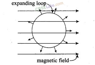 NCERT Exemplar Class 12 Physics Chapter 6 Electromagnetic Induction Img 13