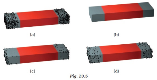 NCERT Exemplar Class 6 Science Chapter 13 Fun with Magnets img-5