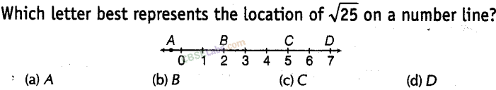 NCERT Exemplar Class 8 Maths Chapter 3 Square-Square Root and Cube-Cube Root img-5