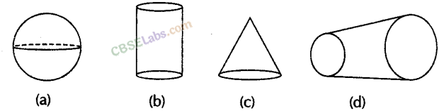 NCERT Exemplar Class 8 Maths Chapter 6 Visualising Solid Shapes img-10