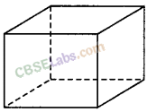 NCERT Exemplar Class 8 Maths Chapter 6 Visualising Solid Shapes img-18