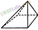 NCERT Exemplar Class 8 Maths Chapter 6 Visualising Solid Shapes img-24