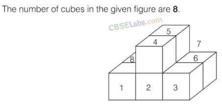 NCERT Exemplar Class 8 Maths Chapter 6 Visualising Solid Shapes img-31