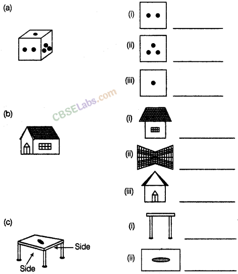 NCERT Exemplar Class 8 Maths Chapter 6 Visualising Solid Shapes img-33