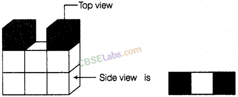 NCERT Exemplar Class 8 Maths Chapter 6 Visualising Solid Shapes img-38