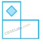 NCERT Exemplar Class 8 Maths Chapter 6 Visualising Solid Shapes img-4