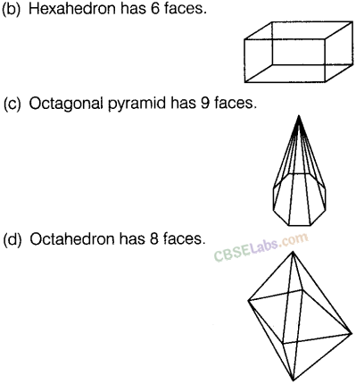 NCERT Exemplar Class 8 Maths Chapter 6 Visualising Solid Shapes img-50