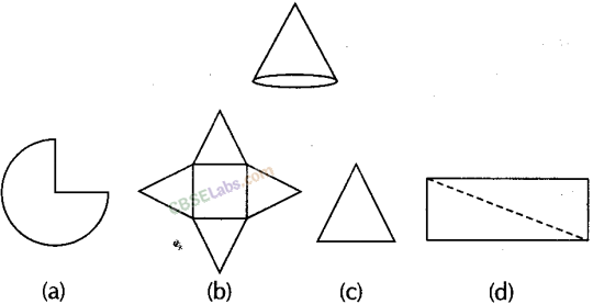 NCERT Exemplar Class 8 Maths Chapter 6 Visualising Solid Shapes img-7