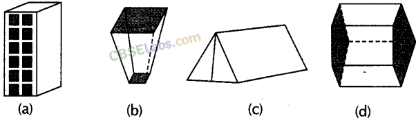 NCERT Exemplar Class 8 Maths Chapter 6 Visualising Solid Shapes img-8