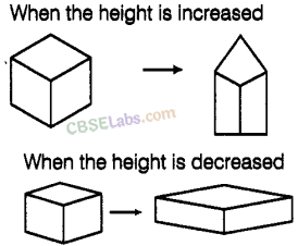 NCERT Exemplar Class 8 Maths Chapter 6 Visualising Solid Shapes img-90