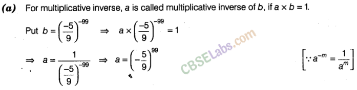 NCERT Exemplar Class 8 Maths Chapter 8 Exponents and Powers img-15