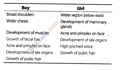 NCERT Exemplar Class 8 Science Chapter 10 Reaching the Age of Adolescence img-5