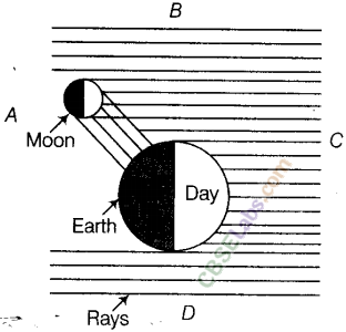 NCERT Exemplar Class 8 Science Chapter 17 Stars and the Solars System img-5