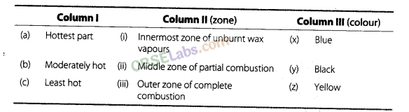 NCERT Exemplar Class 8 Science Chapter 6 Combustion and Flame img-3