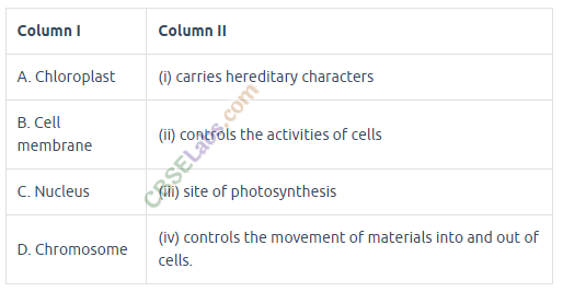 NCERT Exemplar Class 8 Science Chapter 8 Cell Structure and Functions img-2